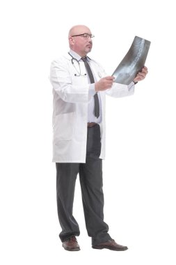 mature doctor with x-ray .isolated on a white background.