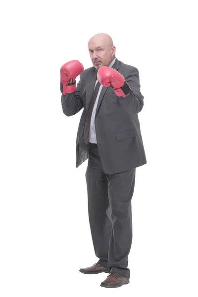 Бізнесмен в боксерських рукавичках. ізольовані на білому фоні . — стокове фото