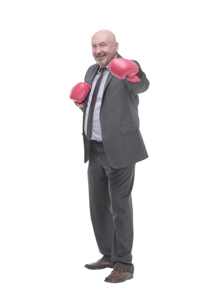 Businessman in Boxing gloves. isolated on a white background. — Stockfoto