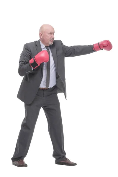 Businessman in Boxing gloves. isolated on a white background. — Stockfoto