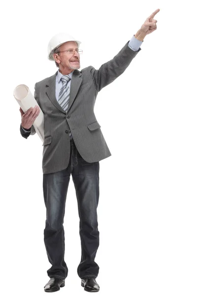 Portrait of successfull architect wearing hardhat and with blueprint — Stock Photo, Image