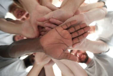 Üst Manzara. İş ekibi bir iş toplantısında tartışıyor.