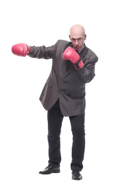 Full Growth Business Man Boxing Gloves Isolated White Background — Stock Photo, Image