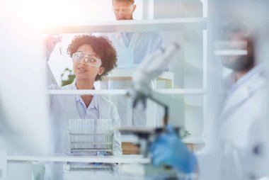 Mikroskop ve Mikrobiyoloji Örnekleri kullanarak Çalışan Bilim Adamları Ekibi