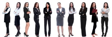 Bir grup başarılı genç iş kadınının panoramik kolajı. beyaz arkaplanda izole