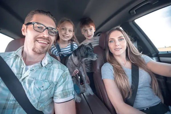 close up. happy family in a comfortable car.family holiday concept