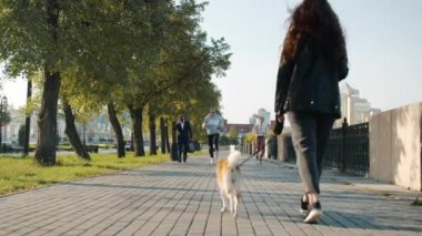 Şehir caddesinde koşan ve bisiklete binen bir grup insan yaz günü günlük işlerle meşguldü.