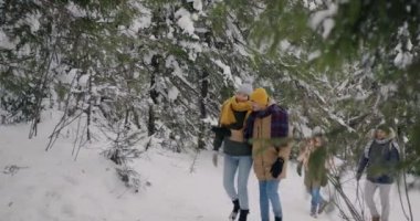 Gençler kış ormanlarında yürüyor, karlı ağaçlarla eğleniyor, birlikte vakit geçiriyorlar.