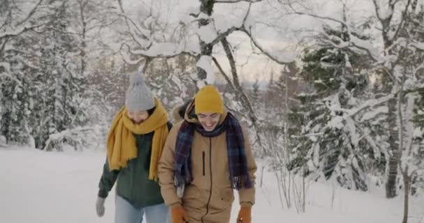 Olika grupper av unga människor vandrar i skogen på vinterdagen njuter av vänskap och natur — Stockvideo