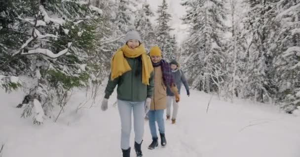 Медленное движение веселой азиатки, гуляющей по зимнему лесу с друзьями, смеющимися и веселящимися — стоковое видео