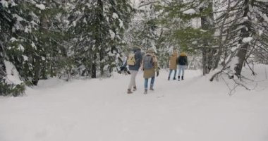 Sırt çantalı yürüyüşçülerin kışın karlı ormanda yürüyüşünün keyfini çıkarırken