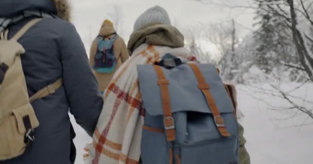Tillbaka visa slow motion av par promenader i snö i vinterskogen njuter utomhus aktivitet — Stockvideo
