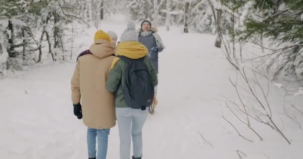 Grupo de estudantes caminhando na floresta no inverno e jogando bolas de neve se divertindo juntos — Vídeo de Stock