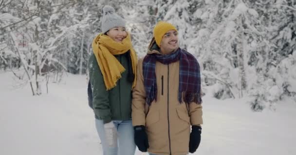 Друзья прогуливаются по зимним лесам, разговаривая, глядя на красивый пейзаж — стоковое видео