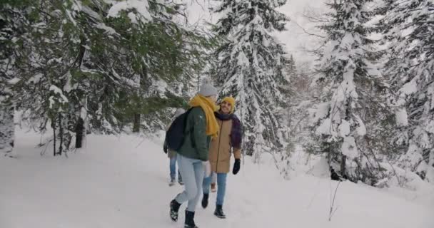 Långsam rörelse av glada vänner promenader i vildskog på vintern talar ser sig omkring — Stockvideo