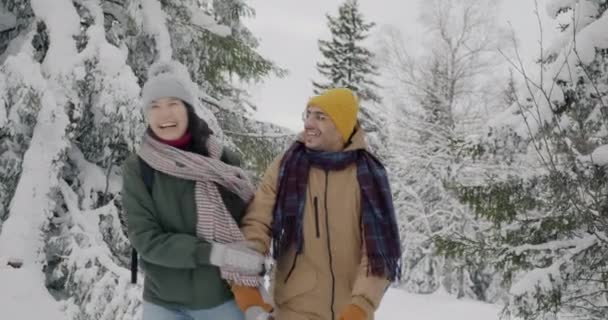 Ευτυχισμένα ζευγάρια περπατούν σε όμορφο πευκοδάσος το χειμώνα μιλώντας κρατώντας τα χέρια απολαμβάνοντας την ημέρα μαζί — Αρχείο Βίντεο
