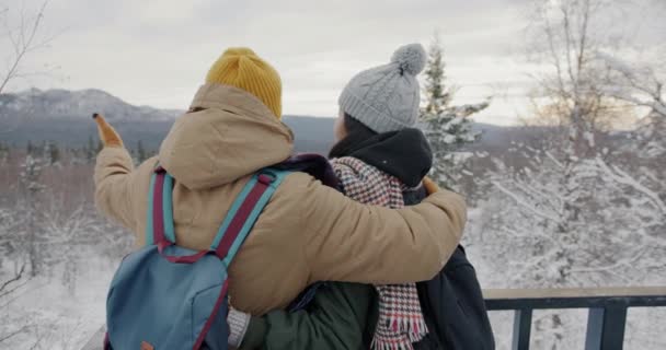 冬の風景を見て、お互いを見て、抱き合って美しいカップル — ストック動画