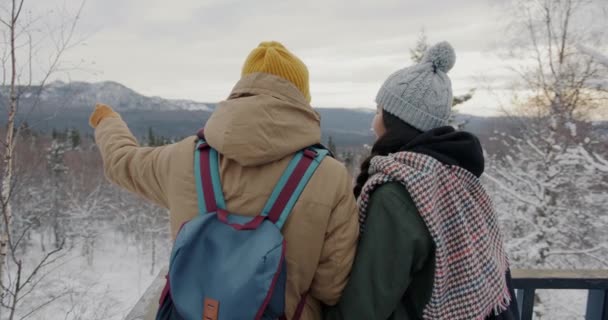 美しい景色を眺めながらお話をする山の旅を楽しむバックパック付きの若者 — ストック動画