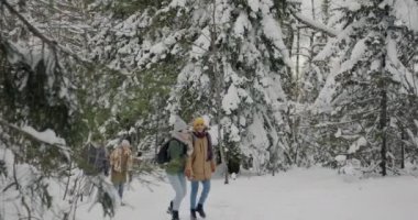 Neşe dolu genç çiftler kış ormanlarında yürüyüp konuşurlar sonra da kartopu oynayarak eğlenirler.