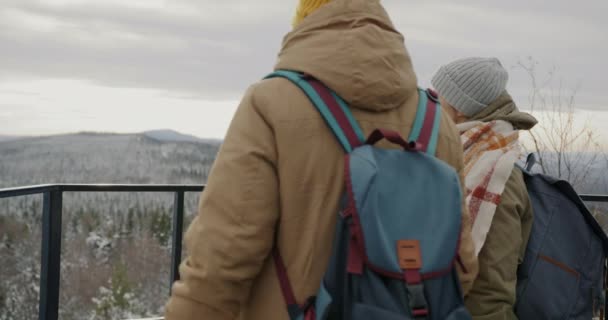 Några turister beundrar vinterlandskapet talar tittar på berg tillsammans — Stockvideo
