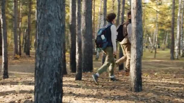 Lány és srác hátizsákkal túrázás az erdőben együtt néz körül a természetben, és beszél — Stock videók
