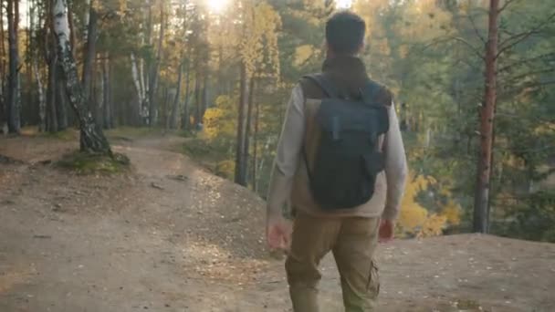 Blick zurück auf männliche Touristen, die allein im Wald wandern und die herbstliche Natur genießen — Stockvideo