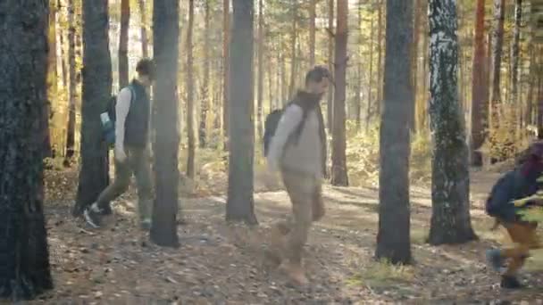 Hombre cariñoso caminando en el bosque con su esposa e hijo disfrutando de la mochila en el día de otoño — Vídeos de Stock