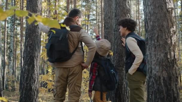 Glückliche junge Familie mit Kind beobachtet die Natur und unterhält sich beim gemeinsamen Wandern im Wald — Stockvideo