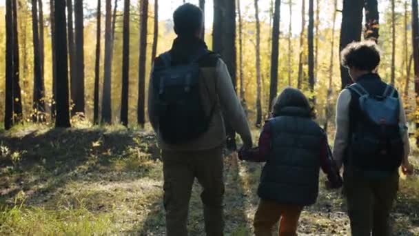 Rückansicht von Eltern und Kind, die Händchen haltend im Wald spazieren gehen und sich beim Tourismus unterhalten — Stockvideo