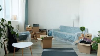 Karton kutuları ve mobilyaları olan güzel bir apartman dairesi.