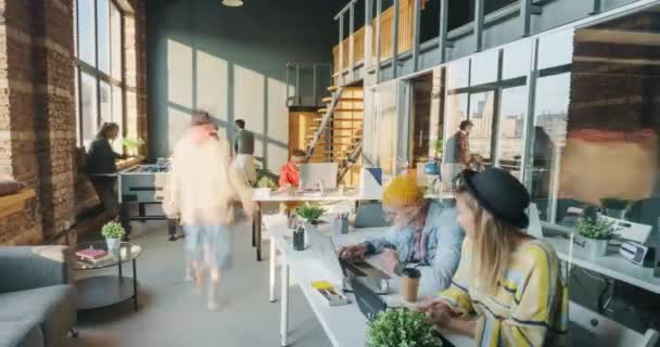 Tijd verstrijken van mannen en vrouwen collega 's bezig met baan in zonovergoten coworking ruimte — Stockvideo