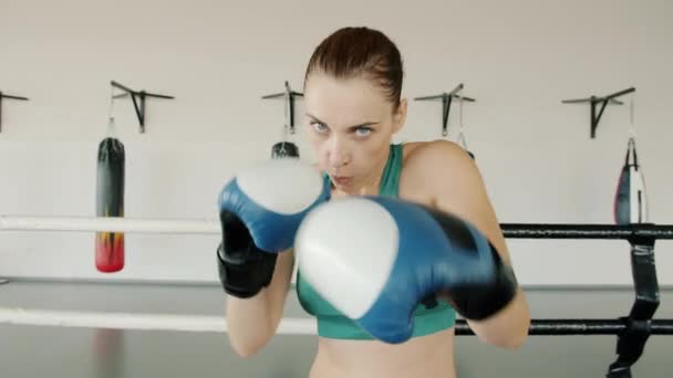 Portré gyönyörű fiatal bokszoló visel kesztyűt harcol boksz gyűrű győztes nézi a kamerát — Stock videók