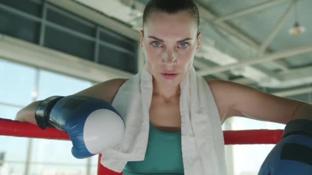 Retrato de una hermosa joven de pie en el ring de boxeo con guantes y mirando a la cámara — Vídeo de stock