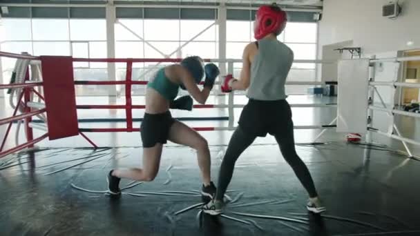 Ajuste jóvenes deportistas haciendo deporte sparring dentro del anillo de boxeo con cascos y guantes — Vídeo de stock