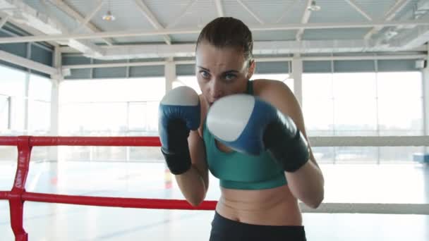 Портрет сильной девушки в перчатках, смотрящей в камеру на боксерском ринге — стоковое видео