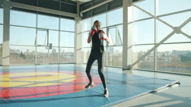 Confident woman boxer training in gym alone practicing punches moving hands wearing gloves — Stock Video