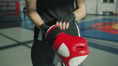 Modern spor salonunda boks antrenmanına hazırlanan ciddi bir bayan boksör eldiven giyiyor.