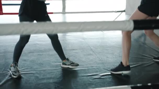 Tilt-up porträtt av självsäkra unga idrottskvinnor träning i boxningsring i gym tillsammans — Stockvideo