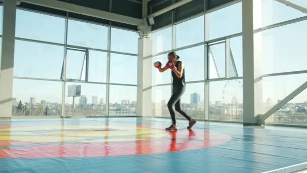 在有全景窗户的现代体育馆里，穿着拳击手套和运动服训练的女孩很合身 — 图库视频影像