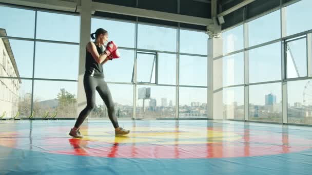 Sterke jonge bokser training alleen het dragen van handschoenen en moderne outfit in lichte sportschool — Stockvideo