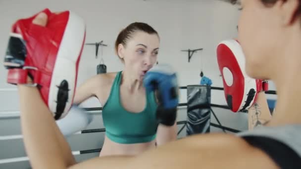 Aggressive young woman boxer training with female partner punching indoors in gym — Stock Video