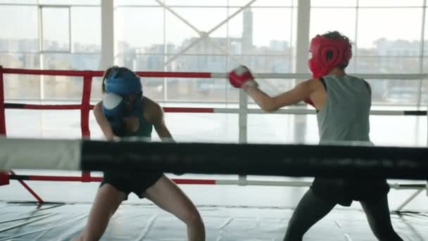 Mouvement lent des boxeuses portant uniforme de protection sparring à l'intérieur dans la salle de gym moderne — Video