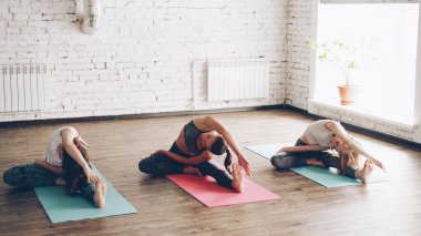 Genç esnek kadınlar yoga paspaslar güzel ışık Studio oturan çeşitli germe egzersizleri yapıyoruz. Onlar kafa veya göğüs nefes konsantre diz bükme. Esneklik kavramını geliştirmek.