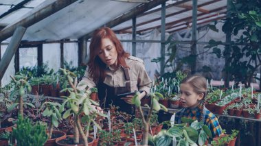 Genç kadın bahçıvan bitki sera içinde sayma ve sevimli çocuğunu ona yardım ederken tablet ile çalışma. Mutlu aile, tarım ve modern teknoloji kavramı.