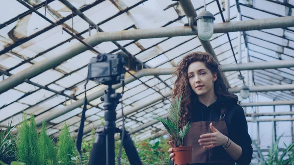 Δημοφιλή Θηλυκό Blogger Πεπειραμένο Κηπουρό Καταγραφή Βίντεο Σχετικά Κηπουρική Για — Φωτογραφία Αρχείου