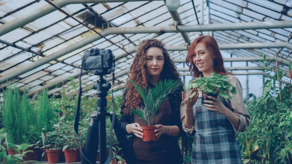Χαμογελαστά Ελκυστικές Κοπέλες Κηπουροί Ποδιές Κρατώντας Λουλούδια Μιλάμε Και Την — Φωτογραφία Αρχείου