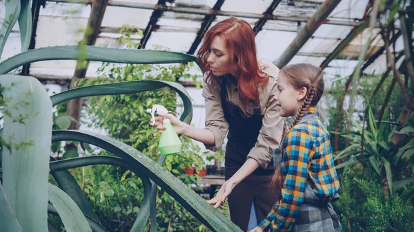 Młoda Kobieta Profesjonalny Ogrodnik Jest Nauczanie Jej Adorable Córeczka Umyć — Zdjęcie stockowe
