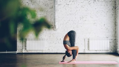 Çekici genç kız ileri vurgun yapıyor plank, kişisel yoga eğitim sırasında güzel Studio'da split bacak. Kolayca zor pozisyonlar yönetiyor. Esneklik güç kavramı.