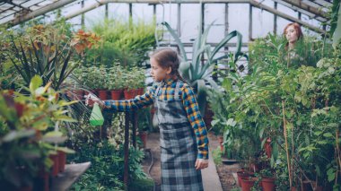 Önlük çocuk genç annesi geniş serada çalışırken püskürtülen ilaç şişe kullanarak Çiçekleri suluyordum. Aile şirketi, hobi ve insanlar kavramı ilginç.