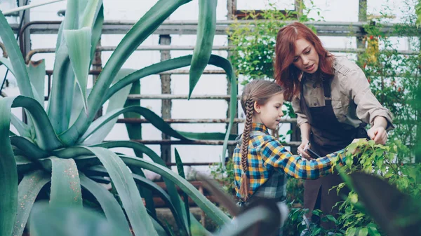 Encantadora Jardinero Femenino Linda Hija Pequeña Están Utilizando Tableta Mientras —  Fotos de Stock